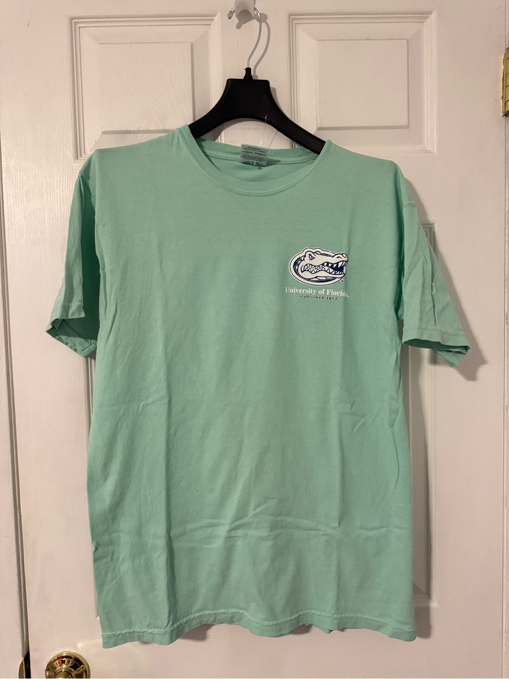 University of Florida Gators Mint Green Short-Sleeve Tee